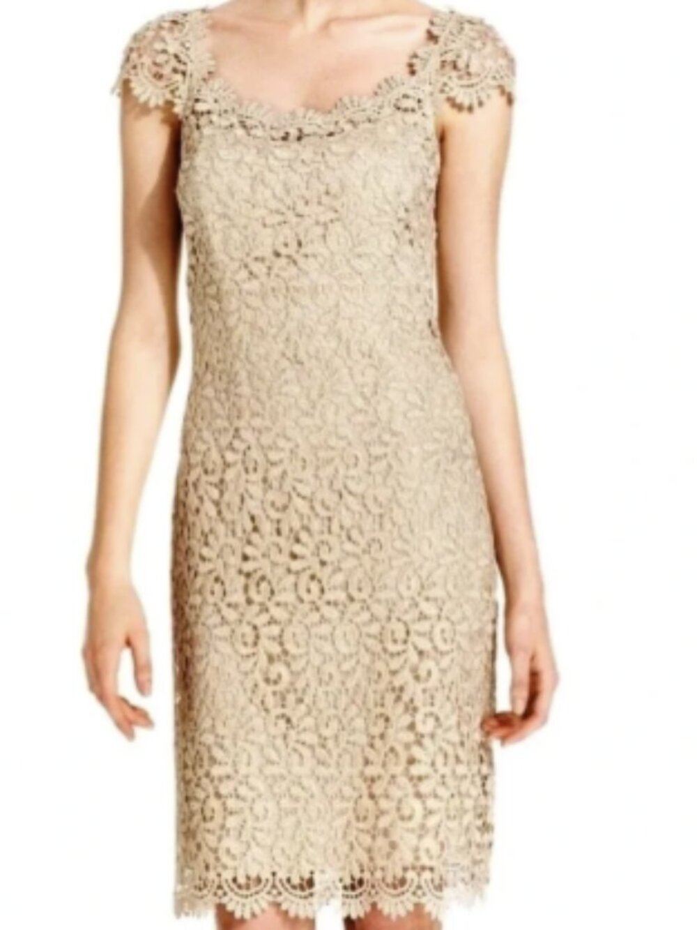NWT Betsy Adam Cap-Sleeve Champagne Gold Metallic Lace Dress Cream wedding party